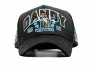 Dandy University