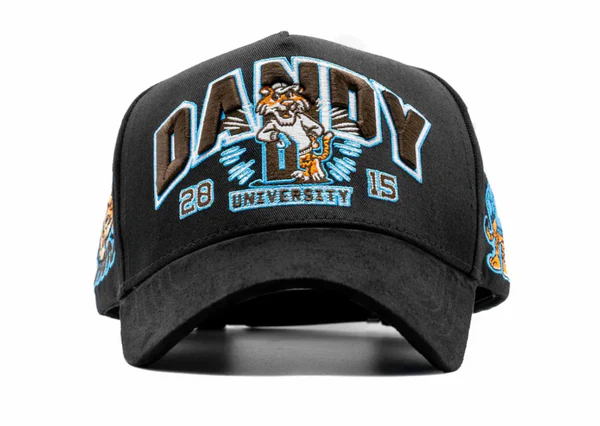 Dandy University (1) Dandy University